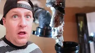 👾😱SCARY CREATURE FOUND IN OUR SINK DRAIN🚰! DYCHES FAM