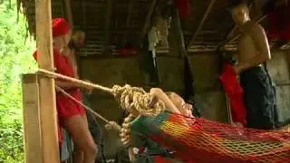 Survivor Srbija 38.05