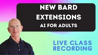 How to Use Bard Extensions