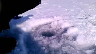Осторожная