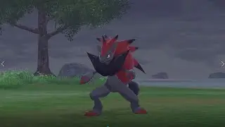 Pokemon Sword and Shield - How to Catch Zoroark