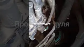30 ноября 2023 г.
