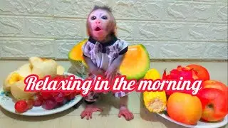 Relaxing in the morning ,Lovely Fauna Youtube Channel