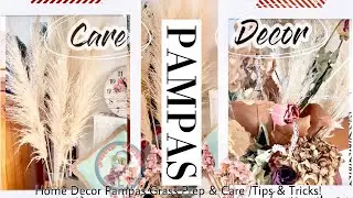 Home Decor Pampas Grass Prep & Care /Tips & Tricks!