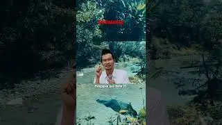GUS BAHA // MUSNAHKAN