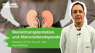 Nierentransplantation und Nierenlebendspende: Interview mit Priv.-Doz. Dr. med. Anja Mühlfeld