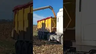 Daf Тяне
