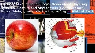 ◉Enumerative Induction Logic: Concentricity layering systems in nature & Skycentrism (Concave Earth)
