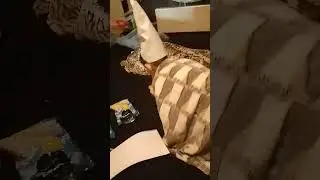 Гном спрятал сокровище #memes #поржать #мем