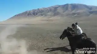 Тыналиев Бегаалы