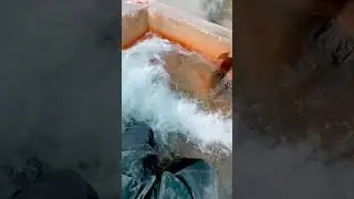 Village life in Punjab Pakistan