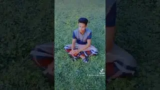 মামার বাড়ির কাহিনী চরম হাসির