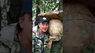 САМАЯ НЕОБЫЧНАЯ ЛОВУШКА ДЛЯ ПЧЁЛ ИЗ БУМАГИ‼️⬇️⬇️⬇️ 