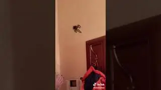 Слабонервным не смотреть