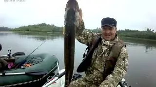 Рыбалка на реке Чулым!