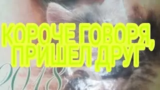 КОРОЧЕ ГОВОРЯ, ПРИШЕЛ ДРУГ