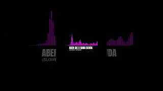 ABER SIE x KARA SEVDA [Slowed + Reverb] | SLOWVERB