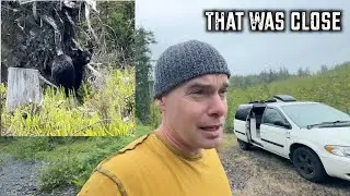 Camping With Bears - I Had To Walk Towards The First One & I Swear The Second One Was After My Fish