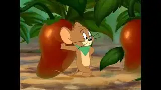 Tom and Jerry Tales - Summer Squashing (2007)