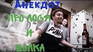 Анекдот Про Лося и Волка