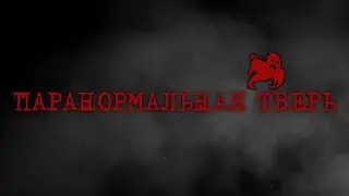 Новый проект на канале Антона Тверского (#паранормальнаятверь) | СКОРО!
