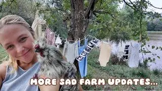 BIG News, Sad News, & Something Exciting!
