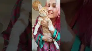 🧡Telegram channel: in_blue_shoes