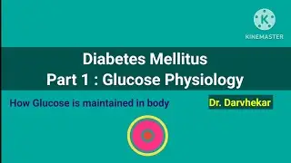 Diabetes Mellitus part 1 Glucose metabolism