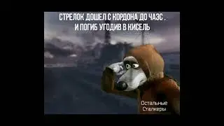 Сталкер мемы