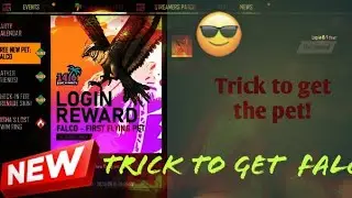How to claim the free pet falco? first try
