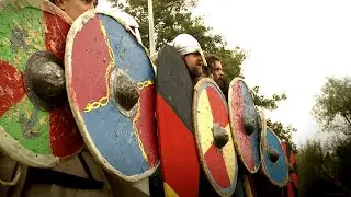 Bear vs Shield Wall