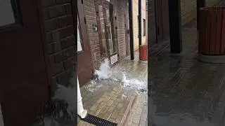 Pouring with #rain. #today #rainyday #kirov #wow #shorts #waterfall