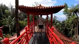 Madeira Honeymoon 2019