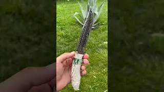 Орел