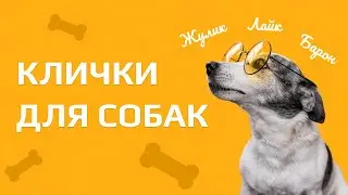 Nicknames for dogs