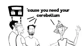 Without Your Cerebellum