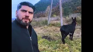 Карен Арутюнов и "Осëл Патрик"