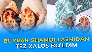 BUYRAK SHAMOLLASHIGA QARSHI ENG ZO'R TABIIY MAHSULOT