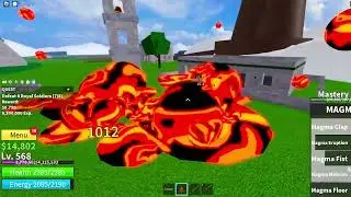Playing bloxfruits