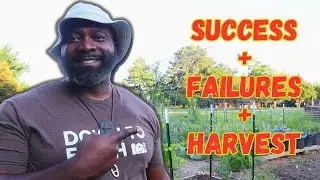 May Kitchen Garden Tour + Harvest | North Texas