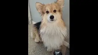 Teagen's bath time routine