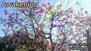 Hellygator - Awakening - Progressive Trance Mix