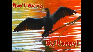 Don’t Worry, Be Happy! Wunderschöne Natur in Mannhams Parks