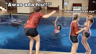 SHARK DRAMA IN THE SWIMMING POOL!!!