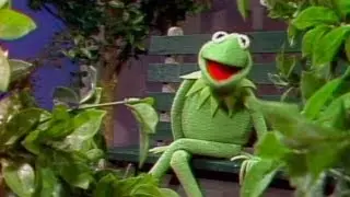 Muppet Mash