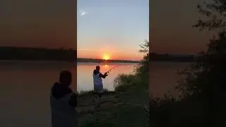Утренний клев.