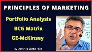 Strategic portfolio planning, BCG matrix, GE McKinsey Matrix, Cash cow, dogs, question marks, stars