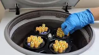 COMÜ Klinik Biyokimyanın Laboratuar Evreleri