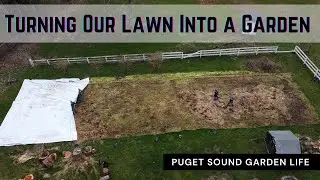 Turning Our Lawn Into a Garden
