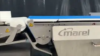 SmartLine Grading Machine: Efficient Sorting & Weighing for Meat, Fish, and Poultry Processing